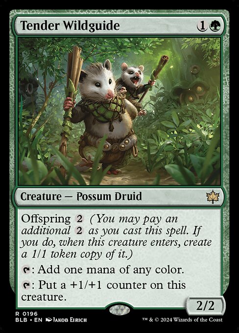 Tender Wildguide (BLB) — Foil